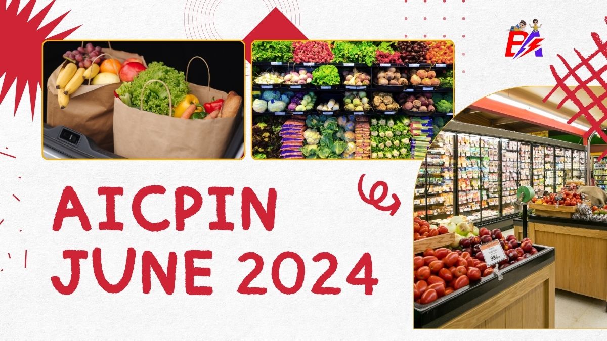 AICPIN June 2024